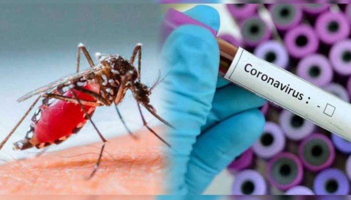 Identifican a 6 personas más con Covid-19 y dengue en Jalisco