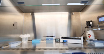 50% de las pruebas de Covid-19 que se hacen en el CUC salen positivas