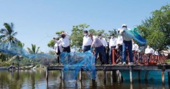 Se termina la veda de camarón en estuarios de Nayarit