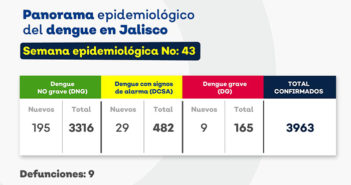Roza Jalisco los 4 mil casos de dengue; Vallarta tiene 104 casos