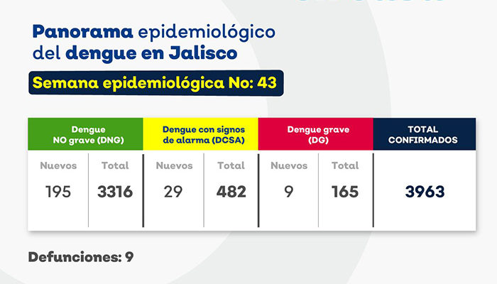 Roza Jalisco los 4 mil casos de dengue; Vallarta tiene 104 casos