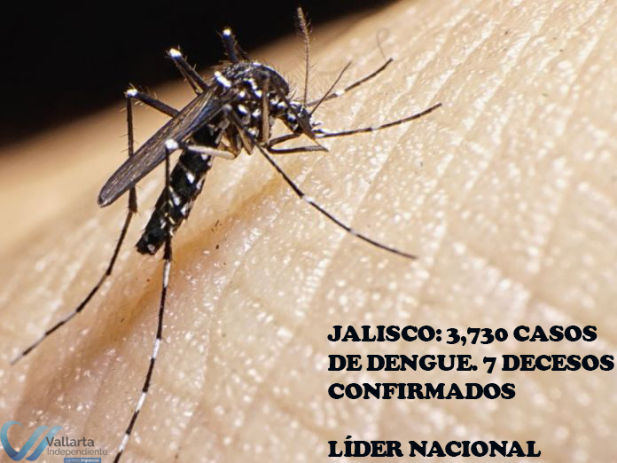 Jalisco, líder nacional en temas negativos 1 Jalisco, líder nacional en temas negativos