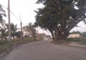 Denuncian vecinos de La Misión 'simulación' en su calle de ingreso