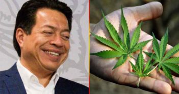 Presenta Mario Delgado iniciativa para cultivo y consumo de mariguana