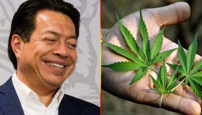 Presenta Mario Delgado iniciativa para cultivo y consumo de mariguana