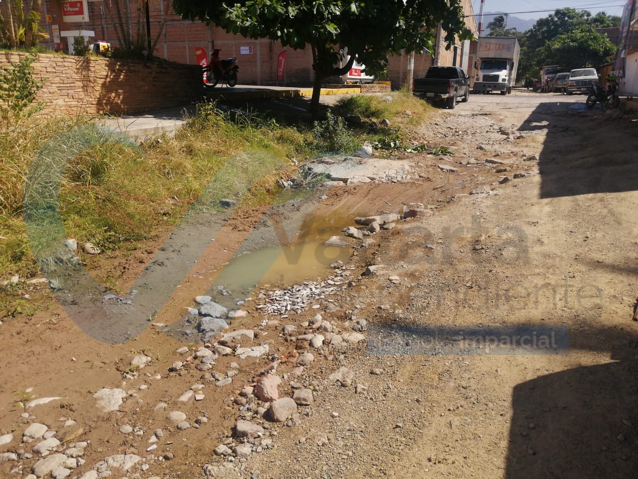 El cinismo de los políticos vallartenses 6 El cinismo de los políticos vallartenses