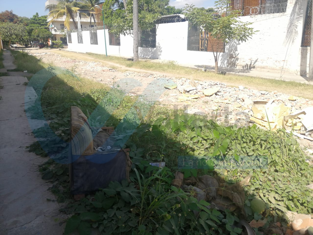 El cinismo de los políticos vallartenses 7 El cinismo de los políticos vallartenses