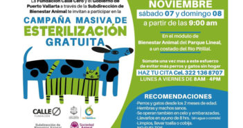 Habrá 'esterilización masiva' en pleno botón de emergencias