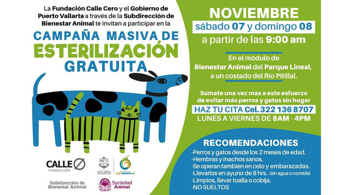 Habrá 'esterilización masiva' en pleno botón de emergencias