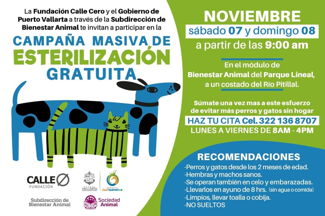 Habrá 'esterilización masiva' en pleno botón de emergencias 1 Habrá 'esterilización masiva' en pleno botón de emergencias