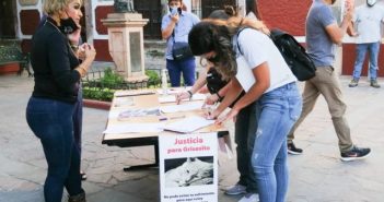 Fijan 100 mil pesos de multa a hombre que asesinó un gato