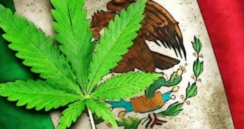 ¡Ya es legal la 'mota' en México! Senadores aprobaron el uso lúdico