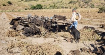 Identificadas las 14 personas del accidente en Jala, Nayarit