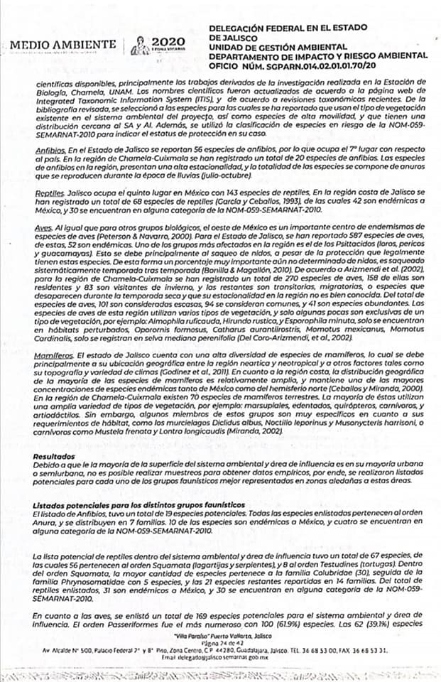 Gobierno federal dio el 'sí' al rompeolas de Mismaloya
