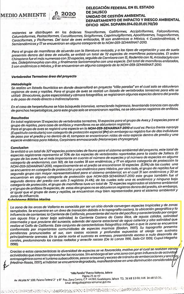 Gobierno federal dio el 'sí' al rompeolas de Mismaloya