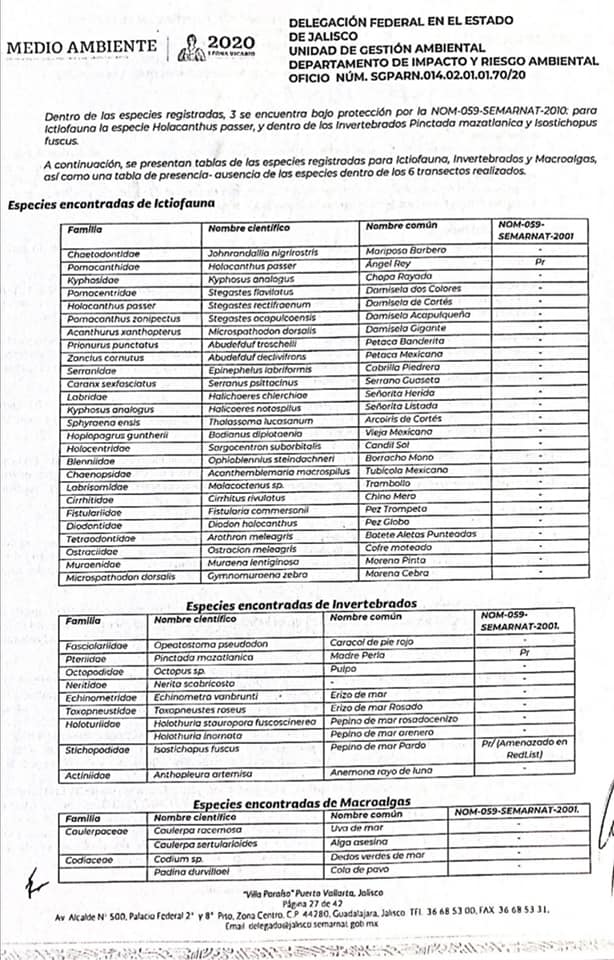 Gobierno federal dio el 'sí' al rompeolas de Mismaloya