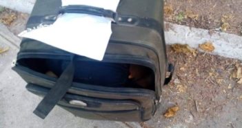 Encuentran restos de una mujer en una maleta