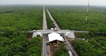 Semarnat autoriza fase 1 del Tren Maya; afectarán 800 hectáreas de selva