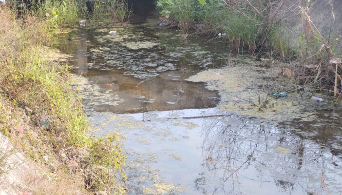 Abandona ayuntamiento de Bahía canal de Valle Dorado; es un foco de infección
