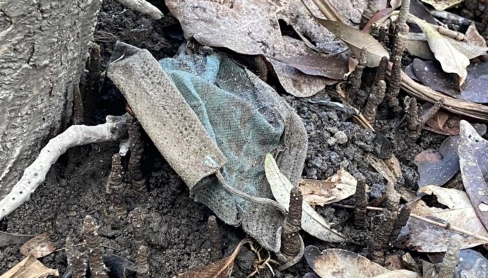 Tú tiras el cubrebocas a la calle y todos llegan al estero