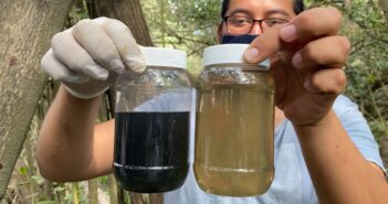 Niega Seapal evidente derrame de aguas negras al estero