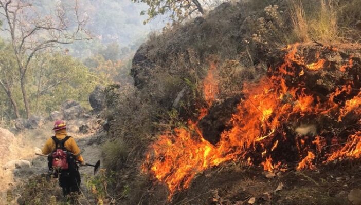 Hay 10 incendios forestales activos en el estado