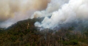 Otra vez hay incendios en el Bosque de la Primavera