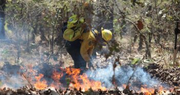 Incendios buscan desestabilizar a Jalisco, dice Alfaro