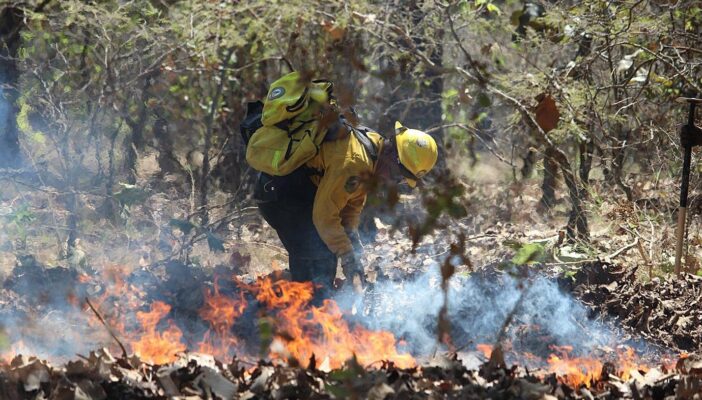 Incendios buscan desestabilizar a Jalisco, dice Alfaro