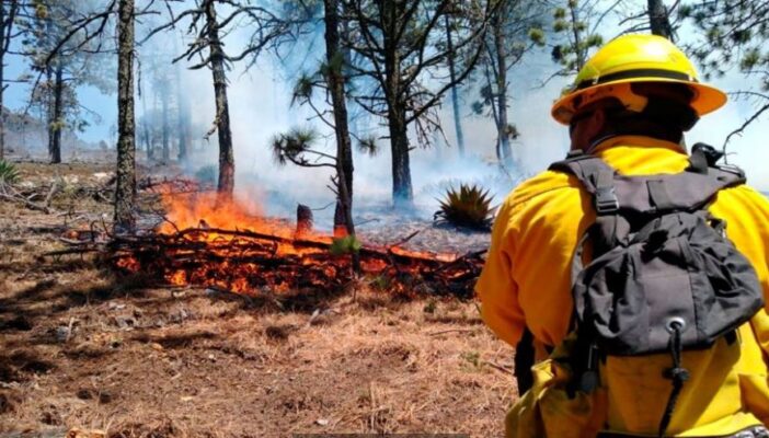 Se registran 68 incendios forestales en 10 estados del país