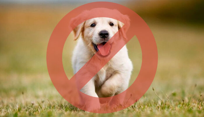 Causa polémica ausencia de camiones 'pet friendly'