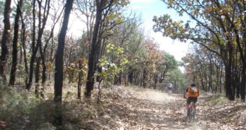 Gobierno Federal subasta seis predios dentro del Bosque La Primavera