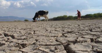 Sequía en Nayarit es la más fuerte de la historia