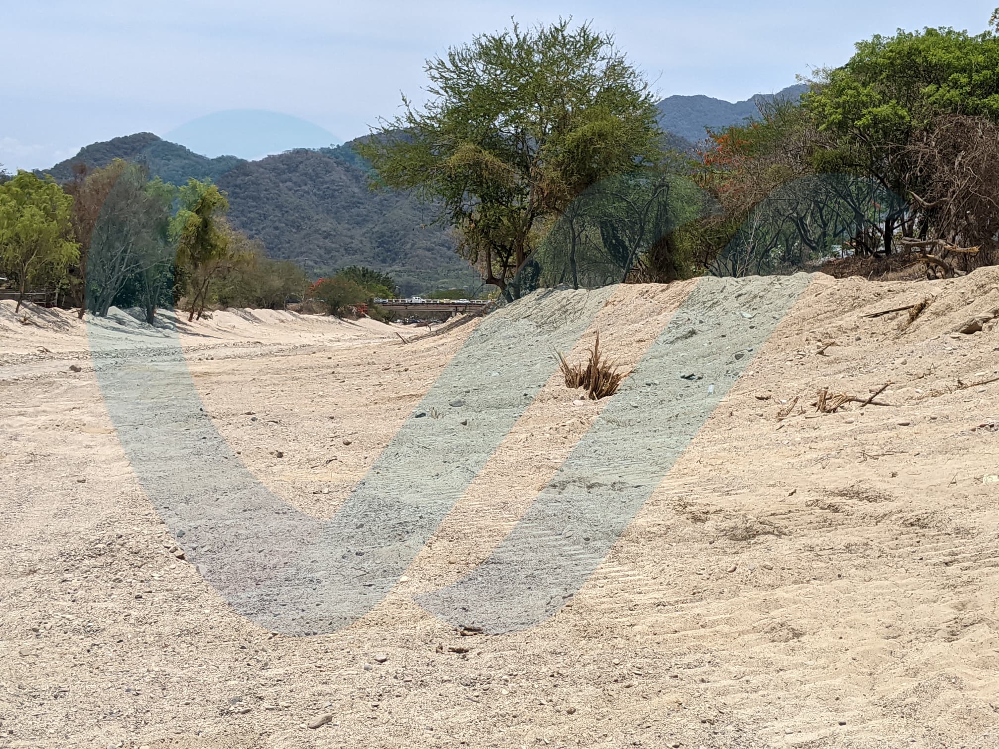 Obras en el Río Pitillal SÍ están dañando árboles y fauna