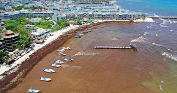 Vivirá Quintana Roo máximo histórico de sargazo en sus playas