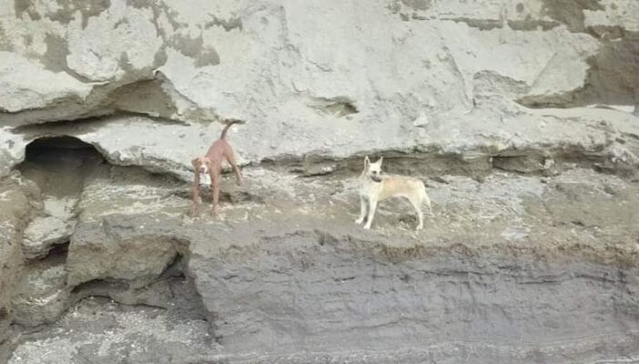 Son 2, están vivos, pero es muy riesgoso rescatarlos