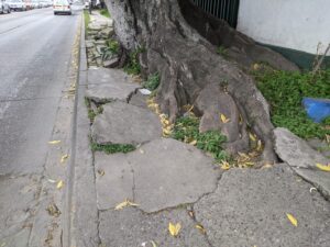 banqueta francisco villa