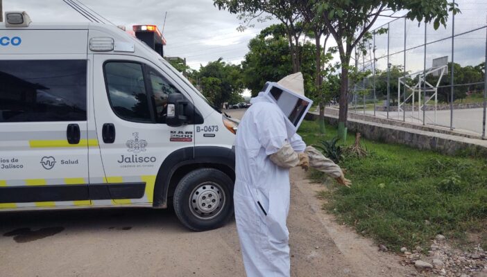 4 personas y 2 perritos fueron atacados por un enjambre de abejas