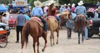 Cancelan las tradicionales 'Paseadas' por segundo año consecutivo