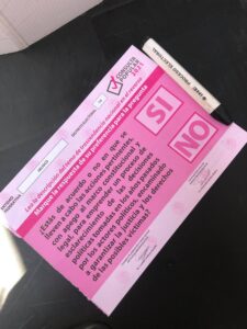 Para la Consulta Popular, no colocaron casillas especiales