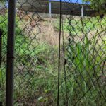 A 1 semana del regreso a clases, jardines de niños sufren por robos 5 A 1 semana del regreso a clases, jardines de niños sufren por robos