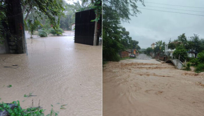 Rescatan a adultos mayores y niños en El Colorado