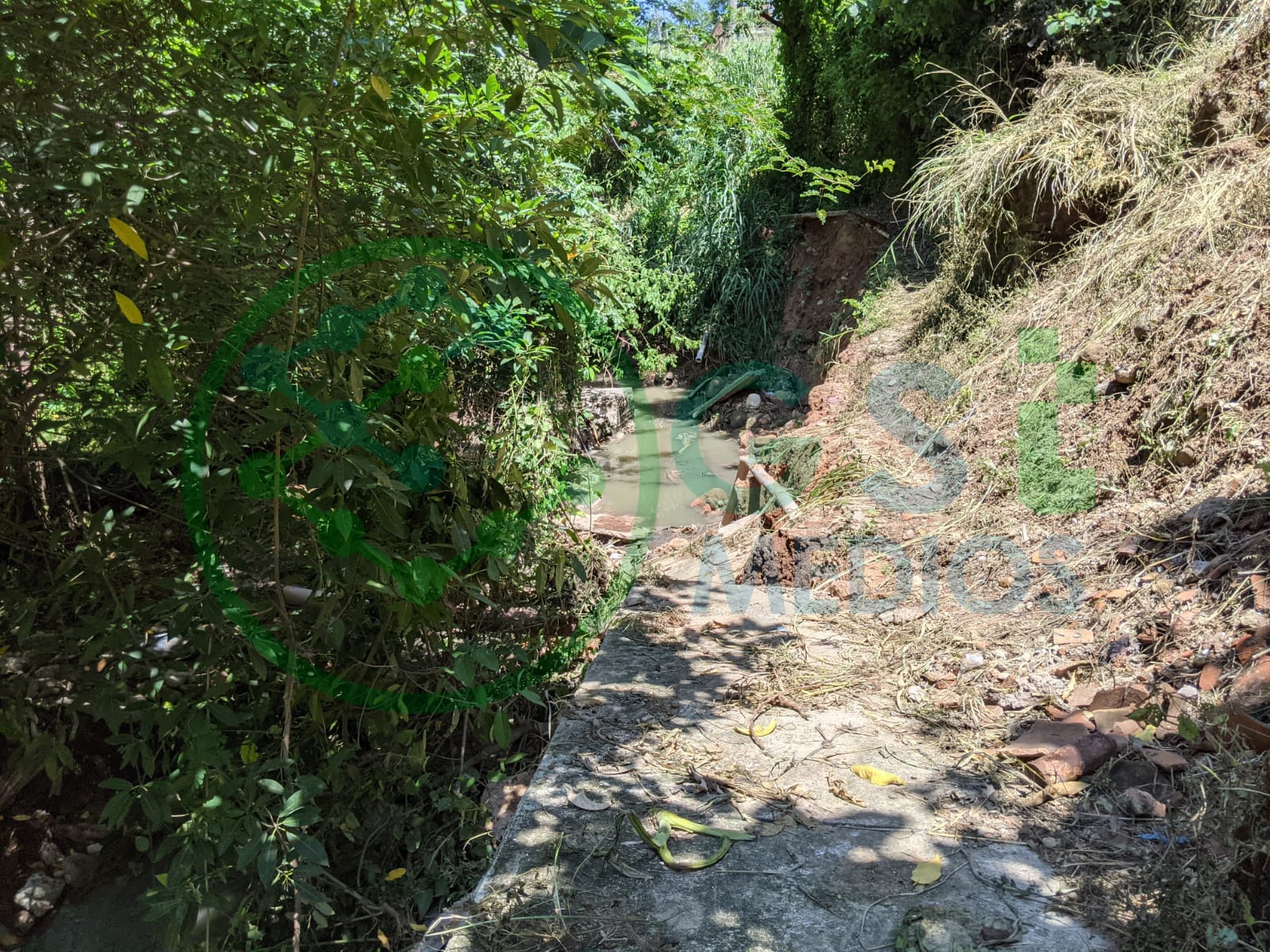 Arroyo de aguas negras tumba banqueta en el Coapinole