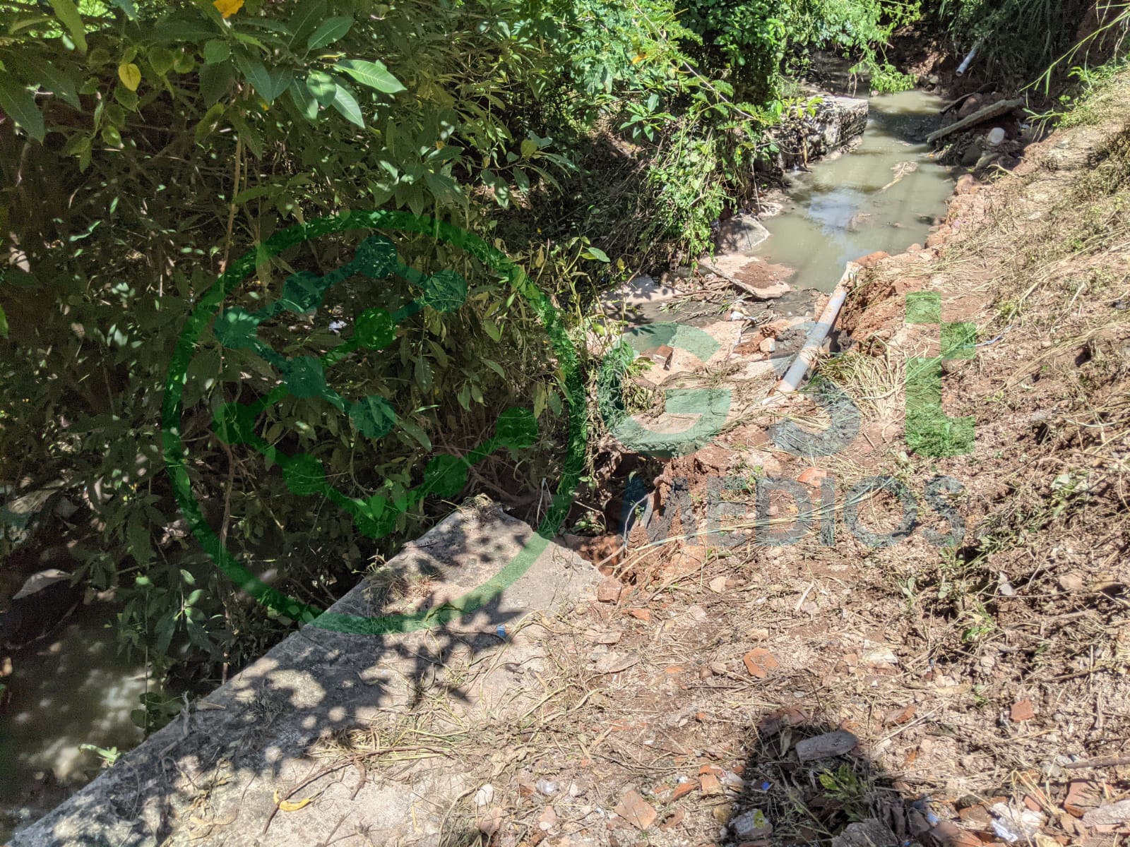 Arroyo de aguas negras tumba banqueta en el Coapinole