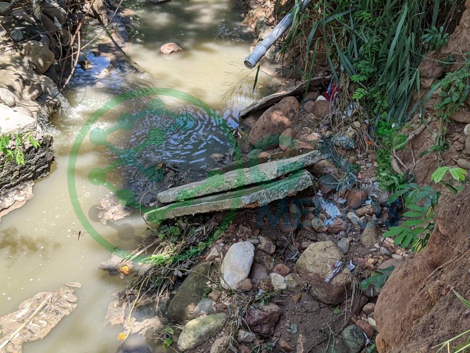 Arroyo de aguas negras tumba banqueta en el Coapinole