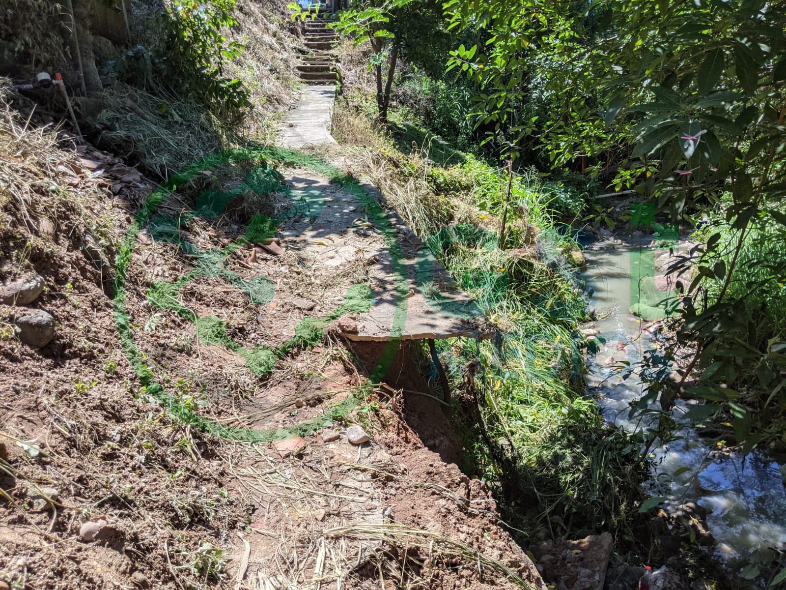 Arroyo de aguas negras tumba banqueta en el Coapinole