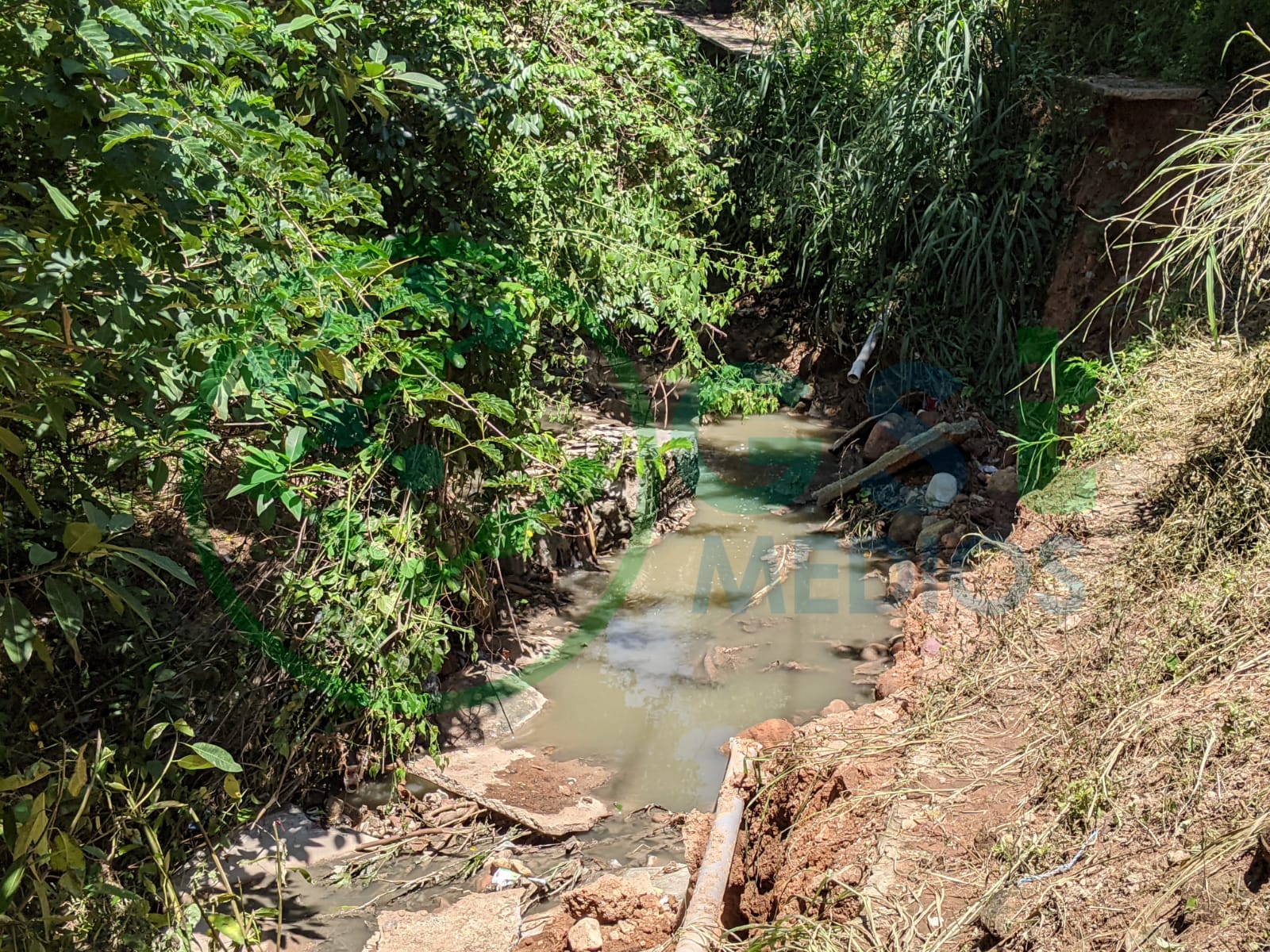 Arroyo de aguas negras tumba banqueta en el Coapinole