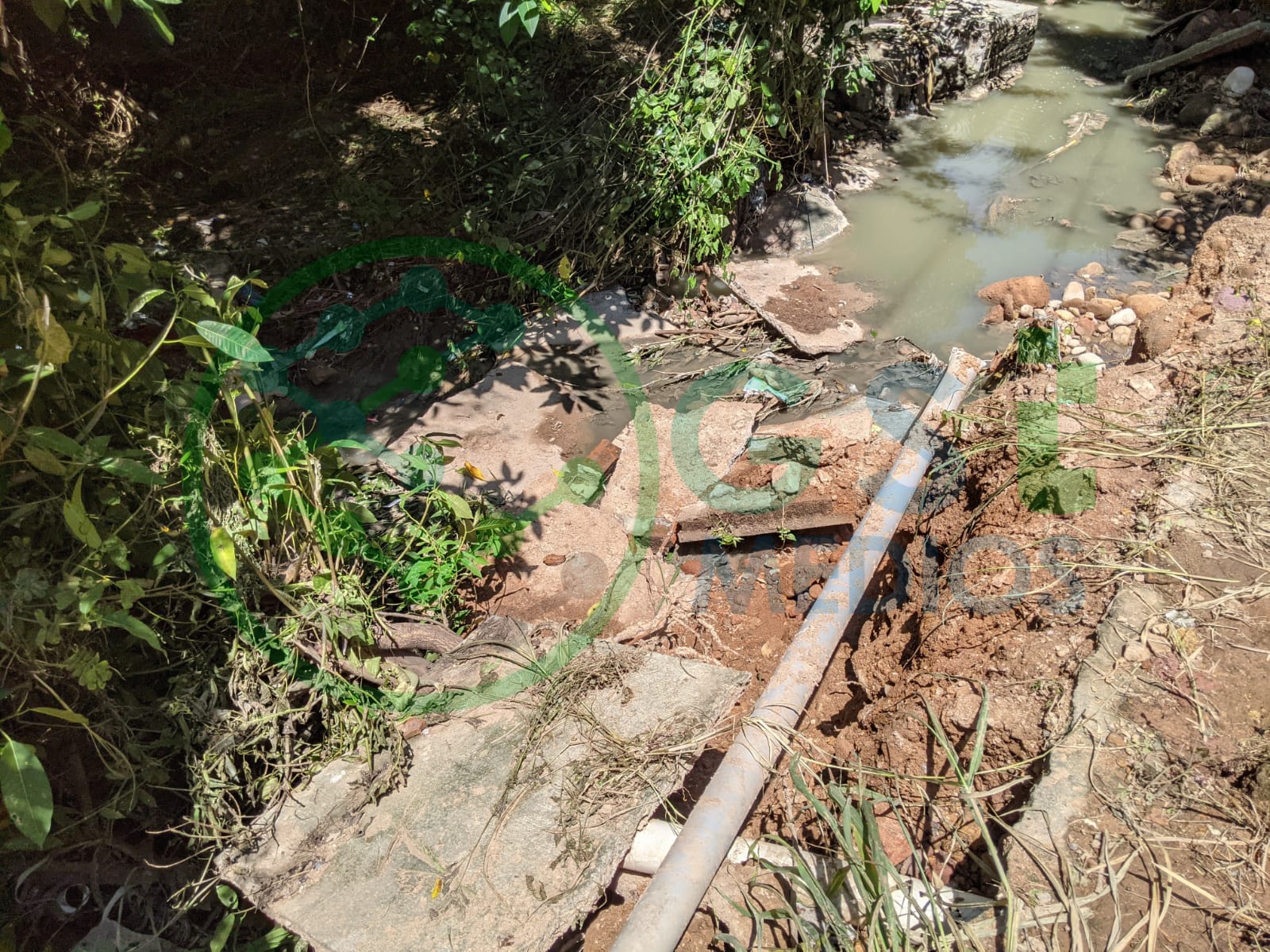 Arroyo de aguas negras tumba banqueta en el Coapinole