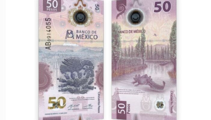 Morelos se va del billete de 50 pesos, ahora tendremos un ajolote