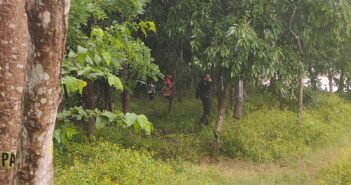 Se quitó la vida colgándose de un árbol